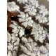 Печенье "Шокомак" 2кг Валеева